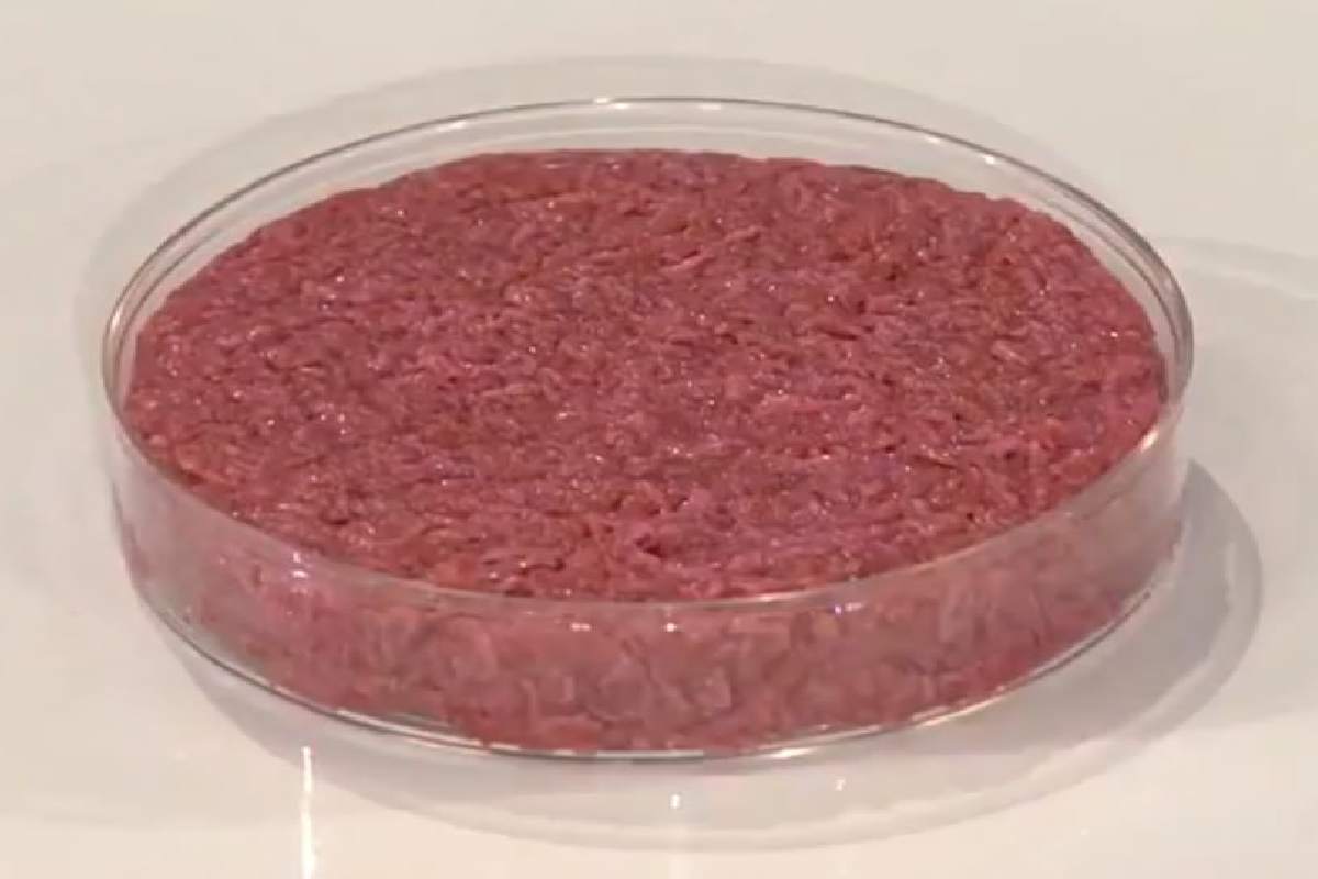 Carne coltivata in laboratorio