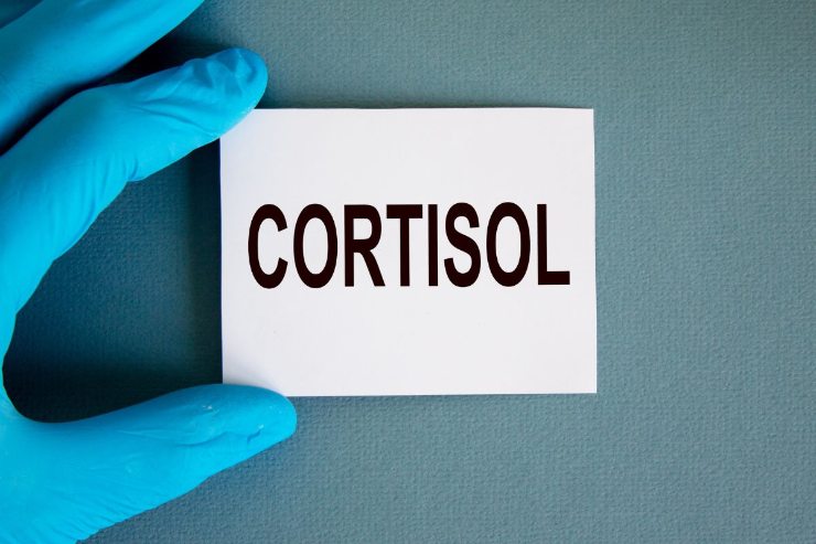 cortisolo influisce sulla dieta