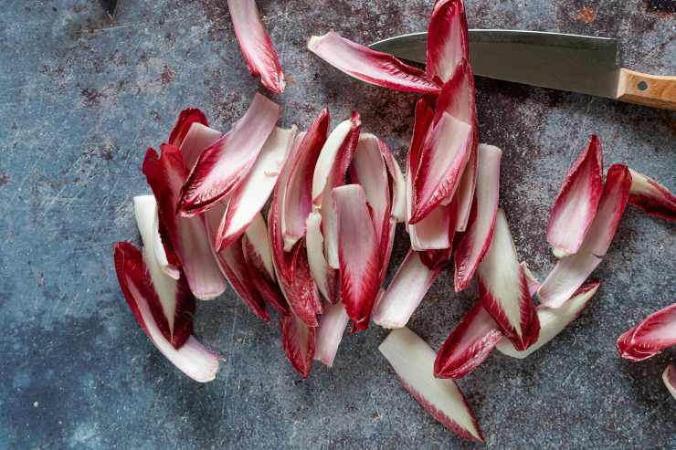 Il radicchio rosso di Treviso è un prodotto d'eccellenza apprezzato in tutto il Mondo